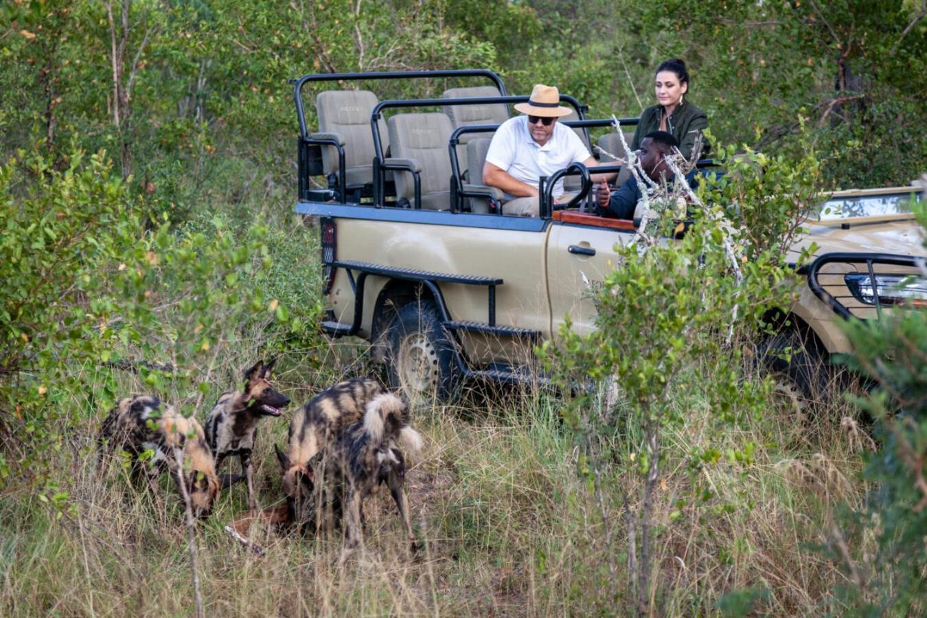 Leopard Hills Private Game Reserve Réserve privée de Sabi Sand Extérieur photo