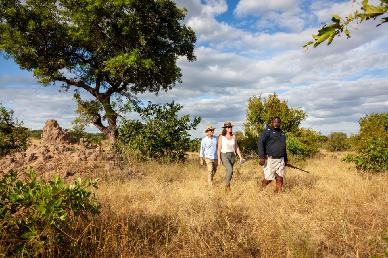 Leopard Hills Private Game Reserve Réserve privée de Sabi Sand Extérieur photo