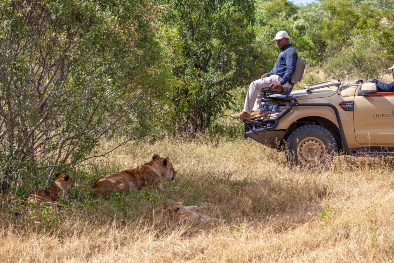 Leopard Hills Private Game Reserve Réserve privée de Sabi Sand Extérieur photo