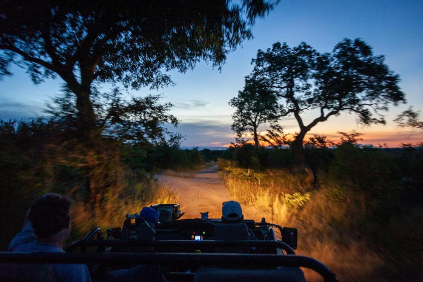 Leopard Hills Private Game Reserve Réserve privée de Sabi Sand Extérieur photo