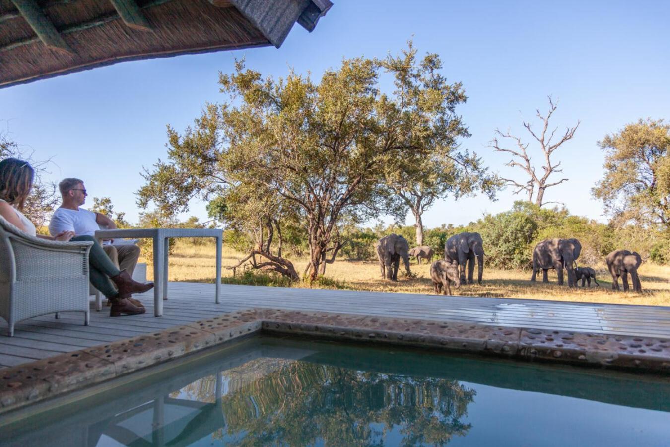 Leopard Hills Private Game Reserve Réserve privée de Sabi Sand Extérieur photo
