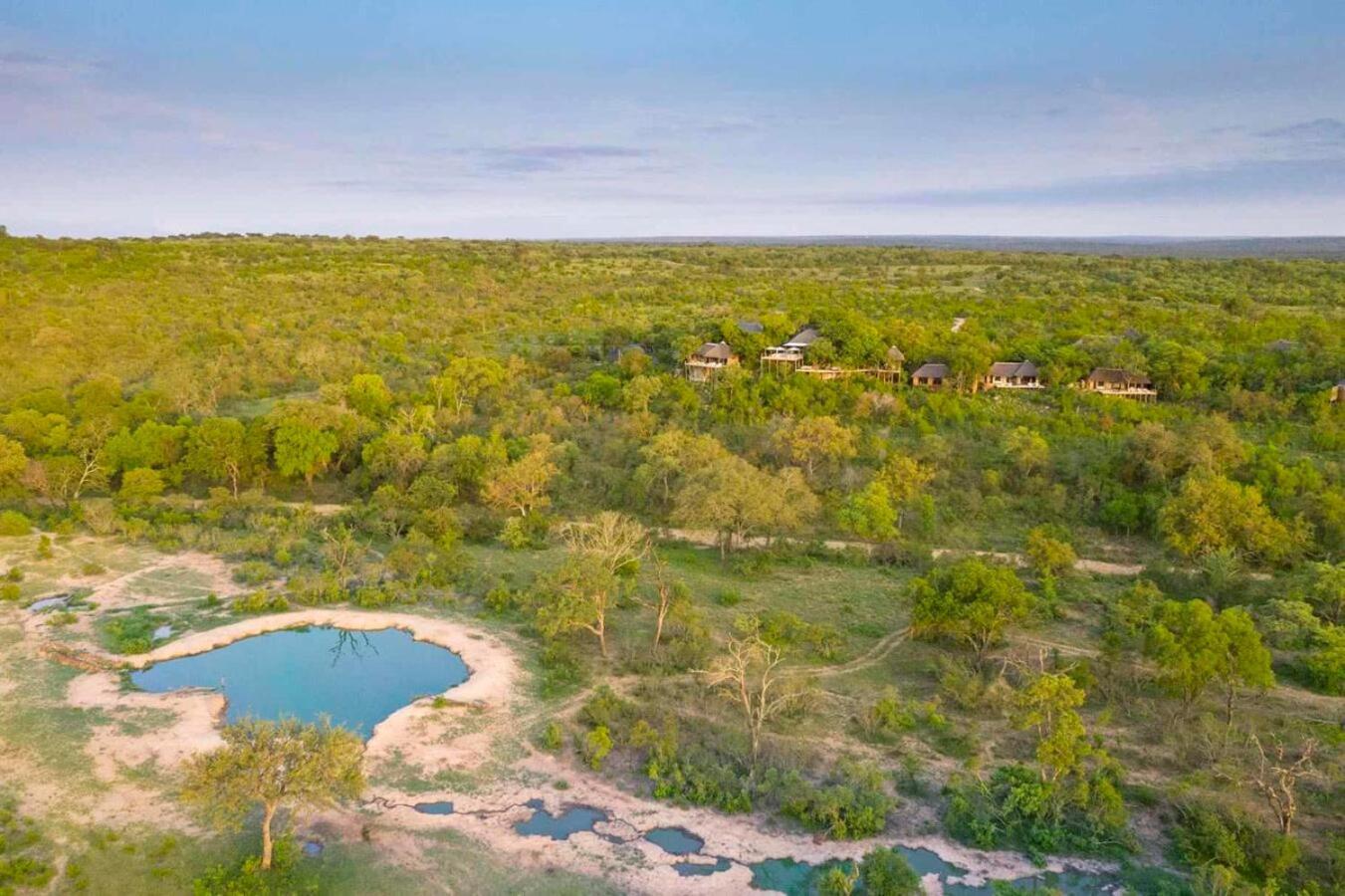 Leopard Hills Private Game Reserve Réserve privée de Sabi Sand Extérieur photo
