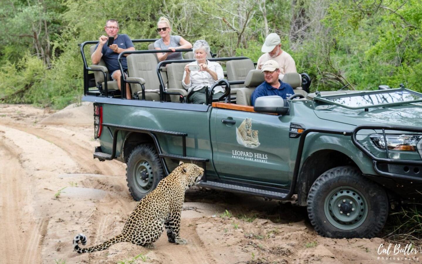 Leopard Hills Private Game Reserve Réserve privée de Sabi Sand Extérieur photo